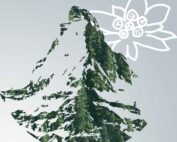 Matterhorn und Edelweiss