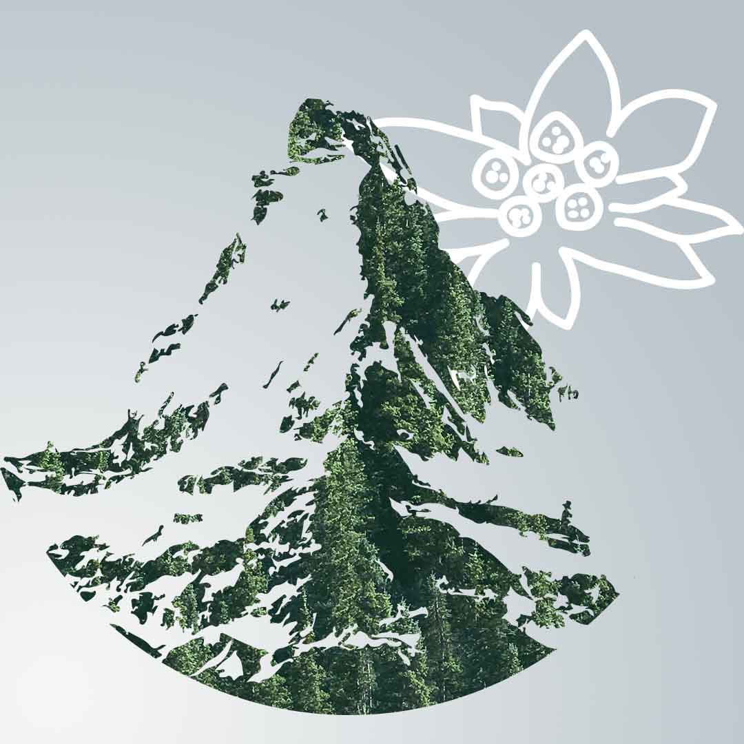 Matterhorn und Edelweiss